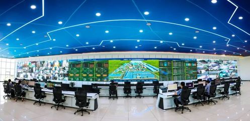 金鼎鋼鐵 以信息技術研發之“綠”，鑄就發展底色中的別樣“紅”